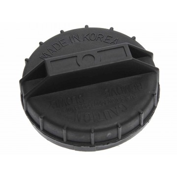 Крышка бака топливного Accent (99-),Santa Fe (09-),ix55 (08-), 31010-25300, FYC