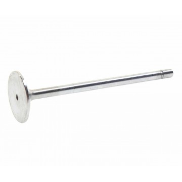 Клапан впускной DAF 95XF дв.WS242G, 213VE31022000, MAHLE